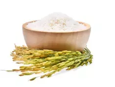 Nông Sản Hữu Cơ